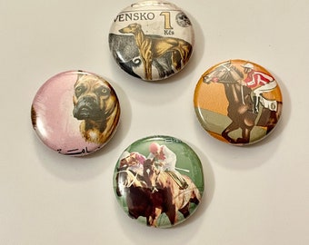 Dogs and Horses Magnets