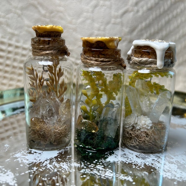 Small decorative terrarium and curiosity jar.