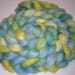 Superwash Merino Nylon Hand Painted Roving 7.3 ounces - Sand Dunnes Comb Top