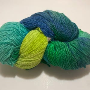 Bluefaced Leicester Yarn - BFL Handdyed Yarn, Fine Sport Weight, 100% Wool  Yardage 425