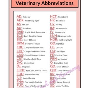 Könnte beinhalten: Eine rosa-weiße Tabelle mit dem Titel "Veterinärmedizinische Abkürzungen" listet medizinische Begriffe und ihre Bedeutungen auf. Abkürzungen sind "AD" für rechtes Ohr, "HR" für Herzfrequenz und "QD" für alle 24 Stunden.