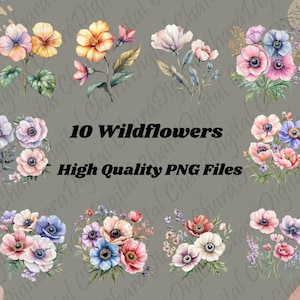 Puede incluir: Diez ilustraciones de acuarela de flores silvestres en varios tonos de rosa, morado, azul y amarillo. Las flores están dispuestas en ramos y presentan pétalos delicados y hojas verdes. El texto "10 Wildflowers" y "High Quality PNG Files" se muestra sobre las imágenes.