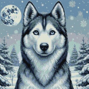 May include: A close-up of a husky dog with blue eyes, looking directly at the camera. The dog is in a snowy woodland setting with a full moon in the background.