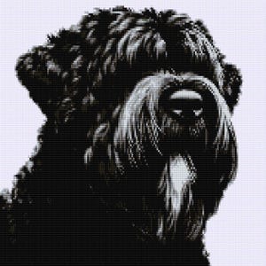 Op de afbeelding: Een zwart-wit gepixeld beeld van een hondenkop, waarschijnlijk een ras met een lange snuit en baard. De vacht van de hond is donker, met lichtere accenten rond de snuit en baard. De afbeelding is een close-up, gericht op de kenmerken van de hond.