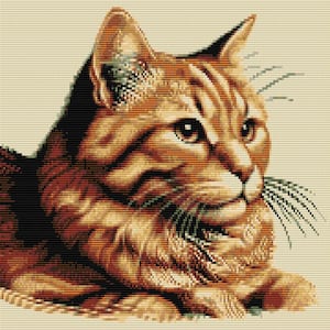 May include: A close-up of a brown tabby cat with green eyes. The cat is lying down with its head resting on its paws. The cat's fur is soft and fluffy.