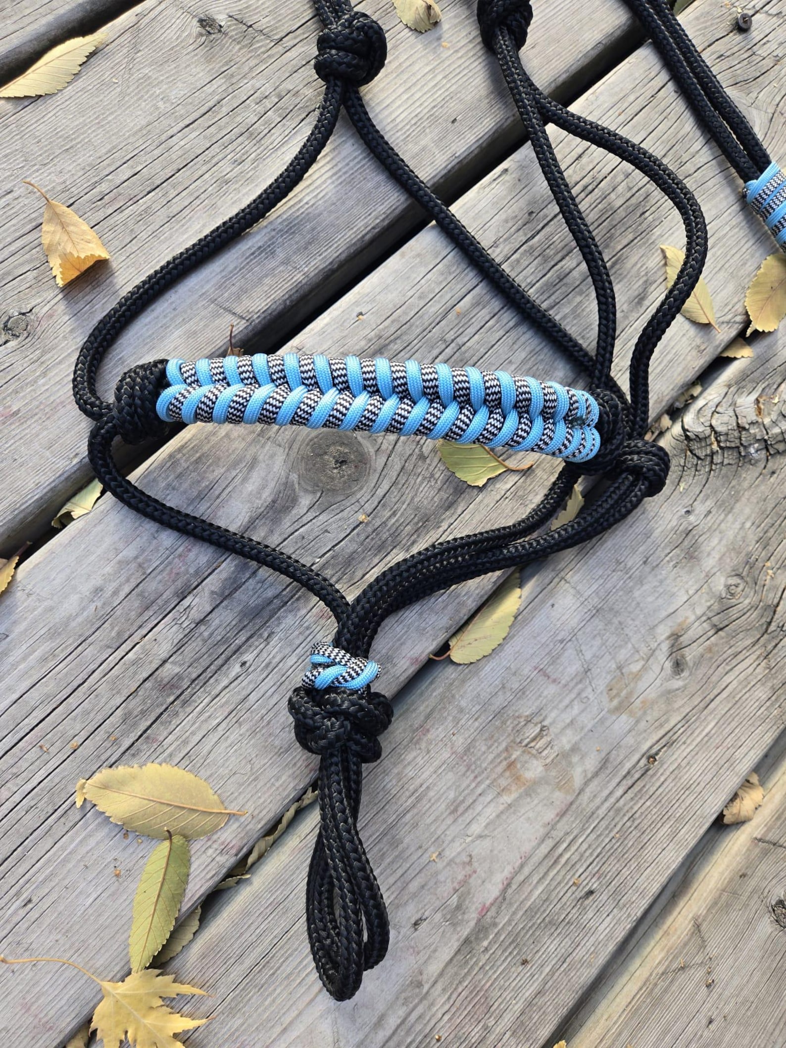DIY Soft Rope Halter With Step-by-step Instructions and Braided ...