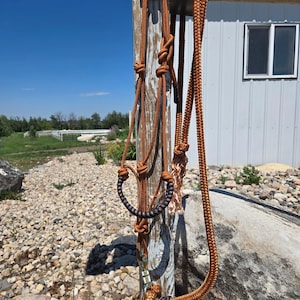 DIY Soft Rope Halter With Step-by-step Instructions and Braided ...