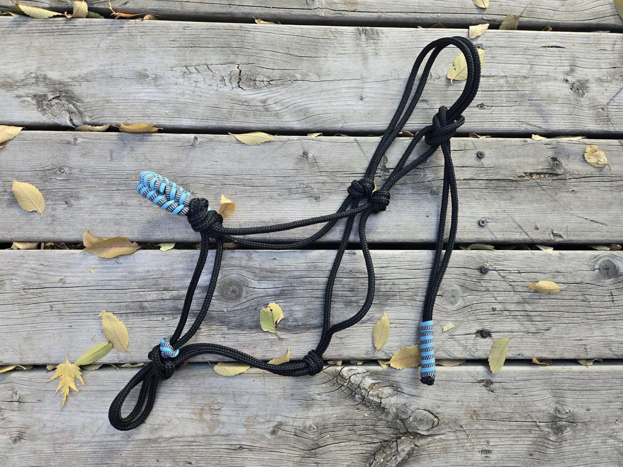 DIY Soft Rope Halter With Step-by-step Instructions and Braided ...