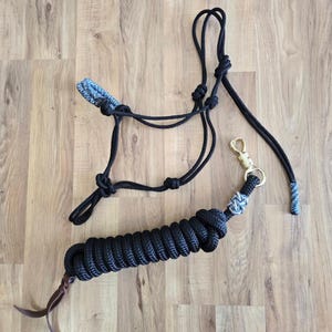 Bijpassend touwhalster en 5/8&quot; 14 ft gewogen paardentouw met aangepaste paracordaccenten, met de hand geverfd op bestelling