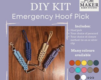 Kit fai-da-te per la pulizia degli zoccoli dei cavalli da trekking in caso di emergenza