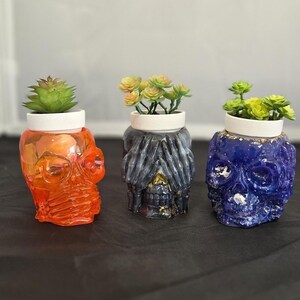 May include: Three skull-shaped planters in orange, gray, and blue, each holding a small succulent plant. The orange skull has a translucent appearance, while the gray skull has hands covering its eyes. The blue skull has gold accents.