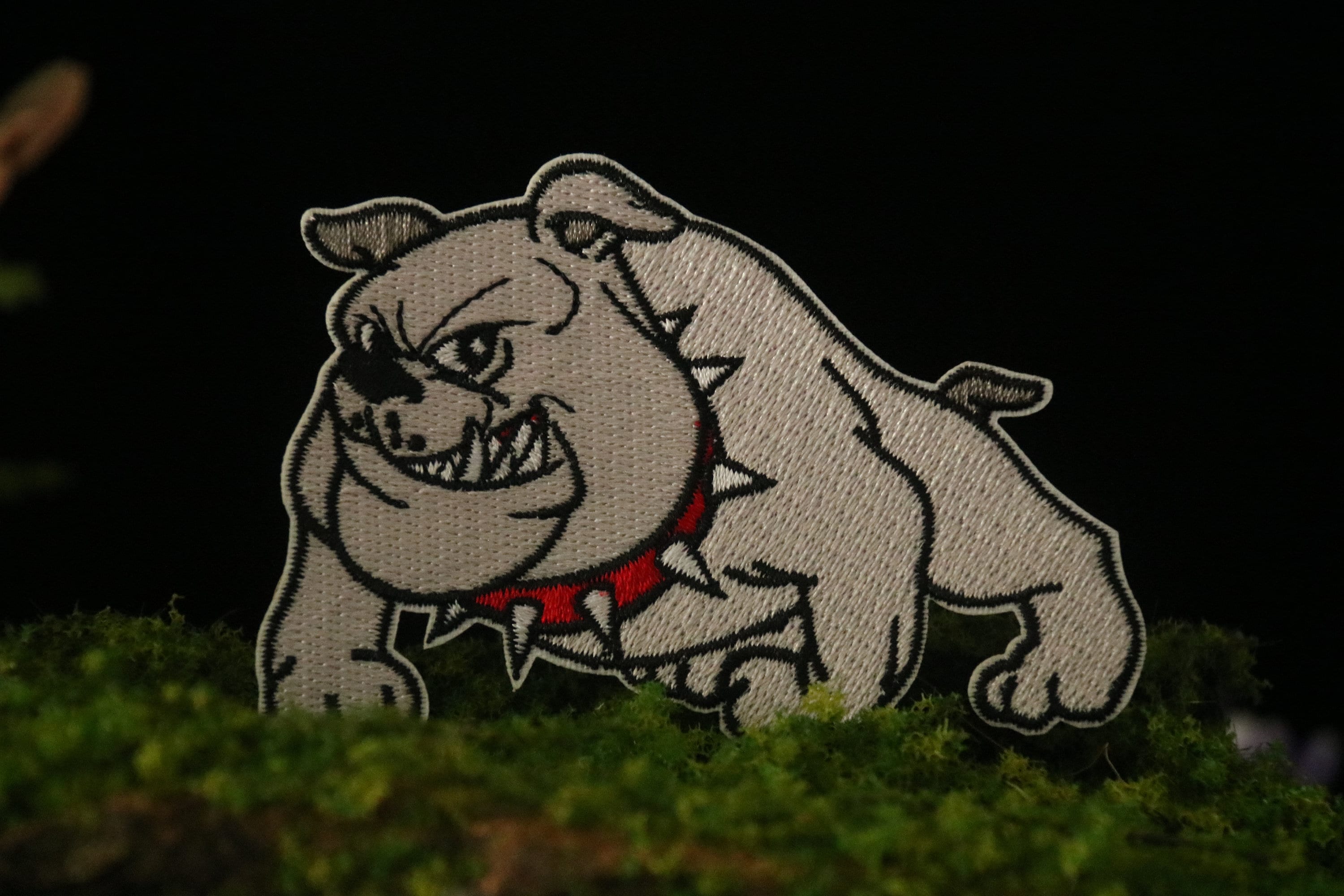 2 Georgia Bulldogs Clinch SEC Championship, First-round Bye In College Football Playoffs