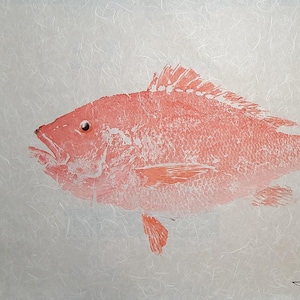 Original American Red Snapper Gyotaku – Raw Print on Thai Mulberry Paper – Hand Signed & Urauchi Mounted 24x36&quot;