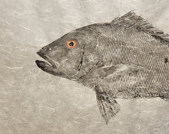 Original Mutton Snapper Gyotaku – Hand Made Fish Print on Korean Mulberry Paper