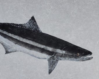 Cobia Gyotaku - Limited Edition Giclée on Archival Paper | Hand Signed & Stamped