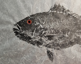 Original American Red Snapper Gyotaku – Hand Printed on Mulberry Paper – Select from 3 Originals, Signed & Stamped - 24"x36"