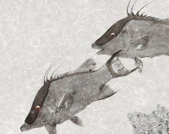 Hogfish Gyotaku Print – Limited Edition Giclée Reproduction with Sea Fan Accent – Archival Wall Art Signed & Numbered