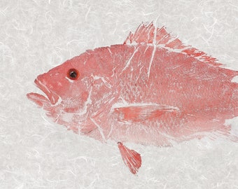 American Red Snapper Gyotaku Print – Limited Edition Reproduction – Coastal Wall Art on Thai Mulberry Paper – Signed & Numbered
