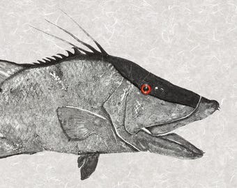 Limited Edition Hogfish Gyotaku Art Print | Archival Giclée Printing | Hand Signed, Numbered & Stamped Coastal Fishing Artwork