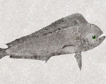 Mahi Mahi Gyotaku Reproduction – Limited Edition Fish Art Print – Acrylic Ink on Archival Mulberry Paper – Signed & Numbered