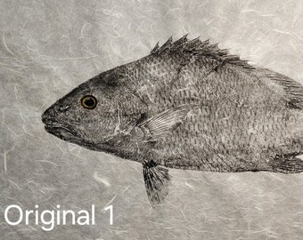 Original Mangrove Snapper Gyotaku – Handmade Sumi Ink Print on Thai Mulberry Paper – Signed & Stamped Ocean Art - 18"x24"