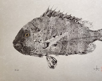 Sheepshead Fish Gyotaku Print – Limited Edition Giclée Reproduction – Japanese Sumi Ink Art on Archival Paper – Signed & Numbered