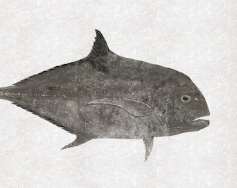 African Pompano Gyotaku Reproduction – Limited Edition Fish Print – Signed, Numbered & Stamped – Available With or Without Streamers