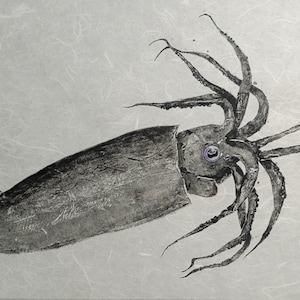 Puede incluir: Un dibujo en tinta negra y blanca de un calamar con largos tentáculos atrapando un pez más pequeño. El calamar tiene un ojo grande y el pez está mirando hacia el otro lado del calamar.