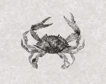 Blue Crab Gyotaku - Limited Edition Giclée on Archival Paper | Hand Signed & Stamped - Colored 10x10
