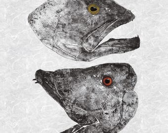 Hogfish & Gag Grouper Gyotaku Print – Limited Edition Reproduction 14x18"