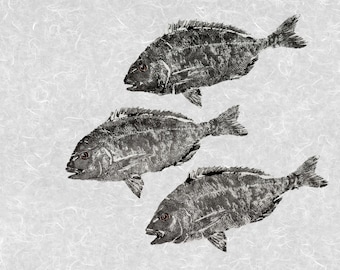 Gilt-Head Bream School Print, Limited Edition Gyotaku Art, Mediterranean Fish Wall Decor, Coastal Nautical Artwork