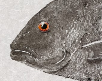 Red Snapper Gyotaku Portrait – Limited Edition Fish Head Print – Giclée Reproduction Signed & Numbered Wall Art
