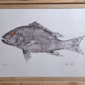 Mutton Snapper Gyotaku Reproduction – Limited Edition Print on Archival Paper –  Hand Signed & Numbered Giclée