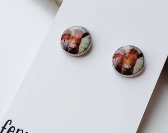 Red Angus Cow Resin Stud Earrings