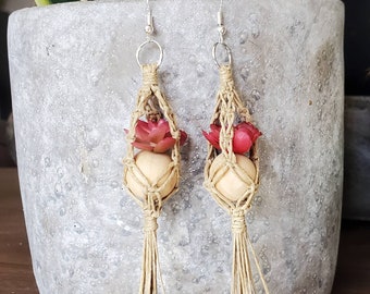 Pink Echeveria Macrame Plant Hanger Earrings