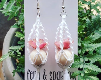 Pink Echeveria Macrame Plant Hanger Earrings