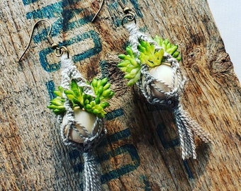 Macrame Plant Hanger Earrings