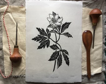 Limited Edition Wood Anemone Linocut Print