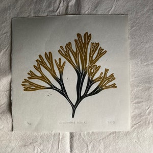 Limited Edition Channelled Wrack Seaweed Hand Printed Linocut