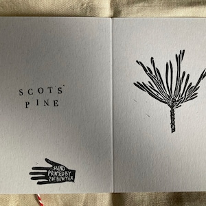 Biglietto di auguri con stampa linoleografica a foglia di pino silvestre stampata a mano