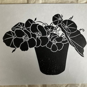 Nasturtium Linocut Print - Limited Edition