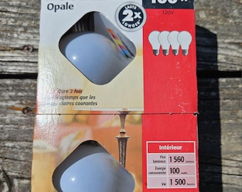 100 watt incandescent light bulbs