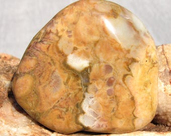 Large tumbled South Dakota prairie agate with mighty fine details