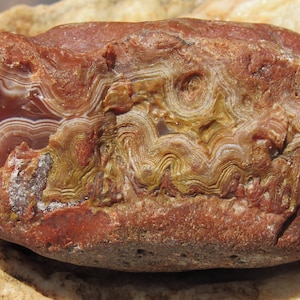 Intricately banded, intensely colorful Lake Superior agate