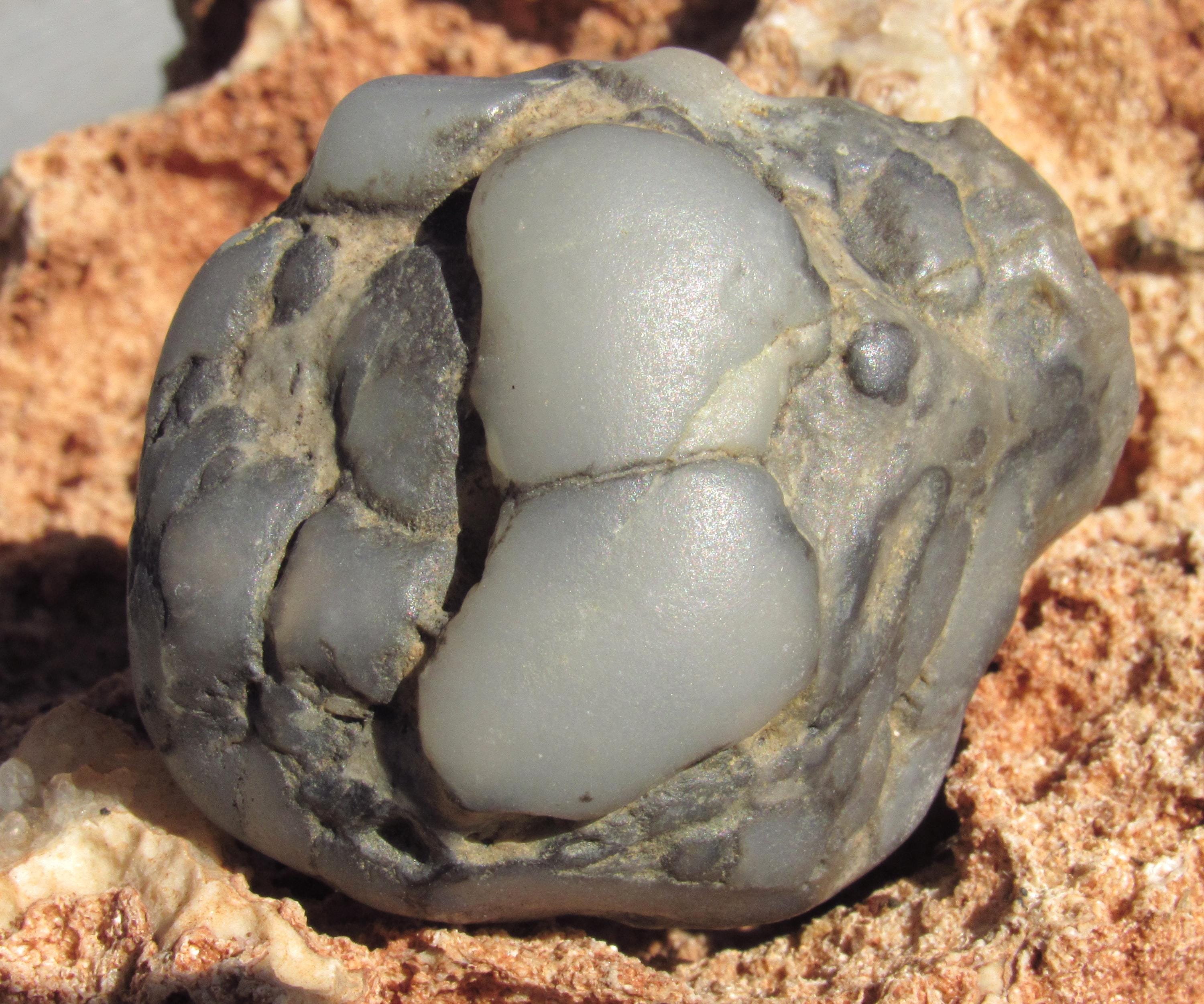 Two raw stones from South Dakota for lapidary work