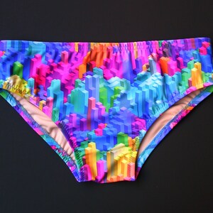 Mens Swim Brief Swimsuit in Regular or Low Rise in Skyline Print
