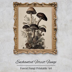 Dark academia mushroom wall art botanical fungi print cottagecore kitchen decor mycology poster light academia aesthetic printable artwork