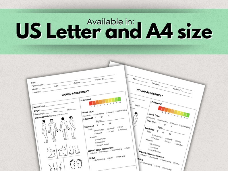 Wound Care Assessment Sheet, Nurse Report Template (PDF, Word) - Etsy