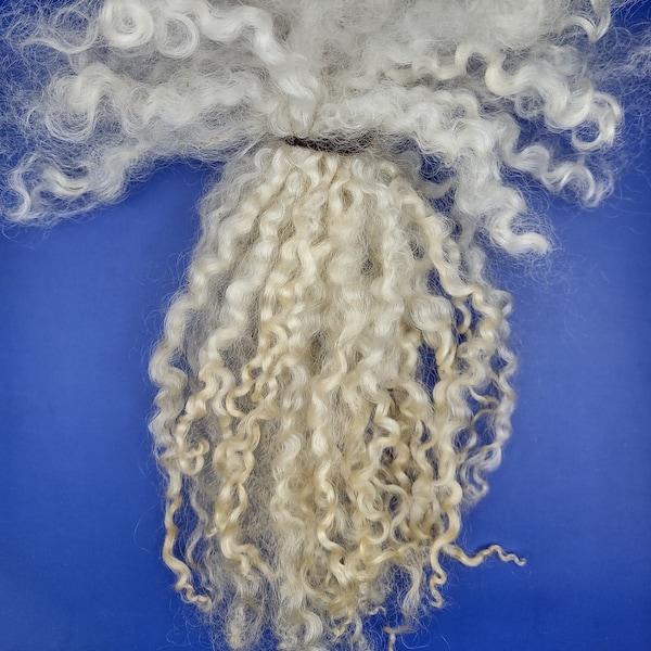 Wensleydale Curly Wool Locks - Long White Curls