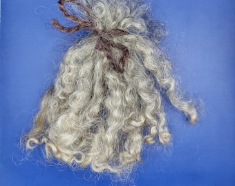 Wensleydale Wool Locks - Washed Curly Natural Colored Wool